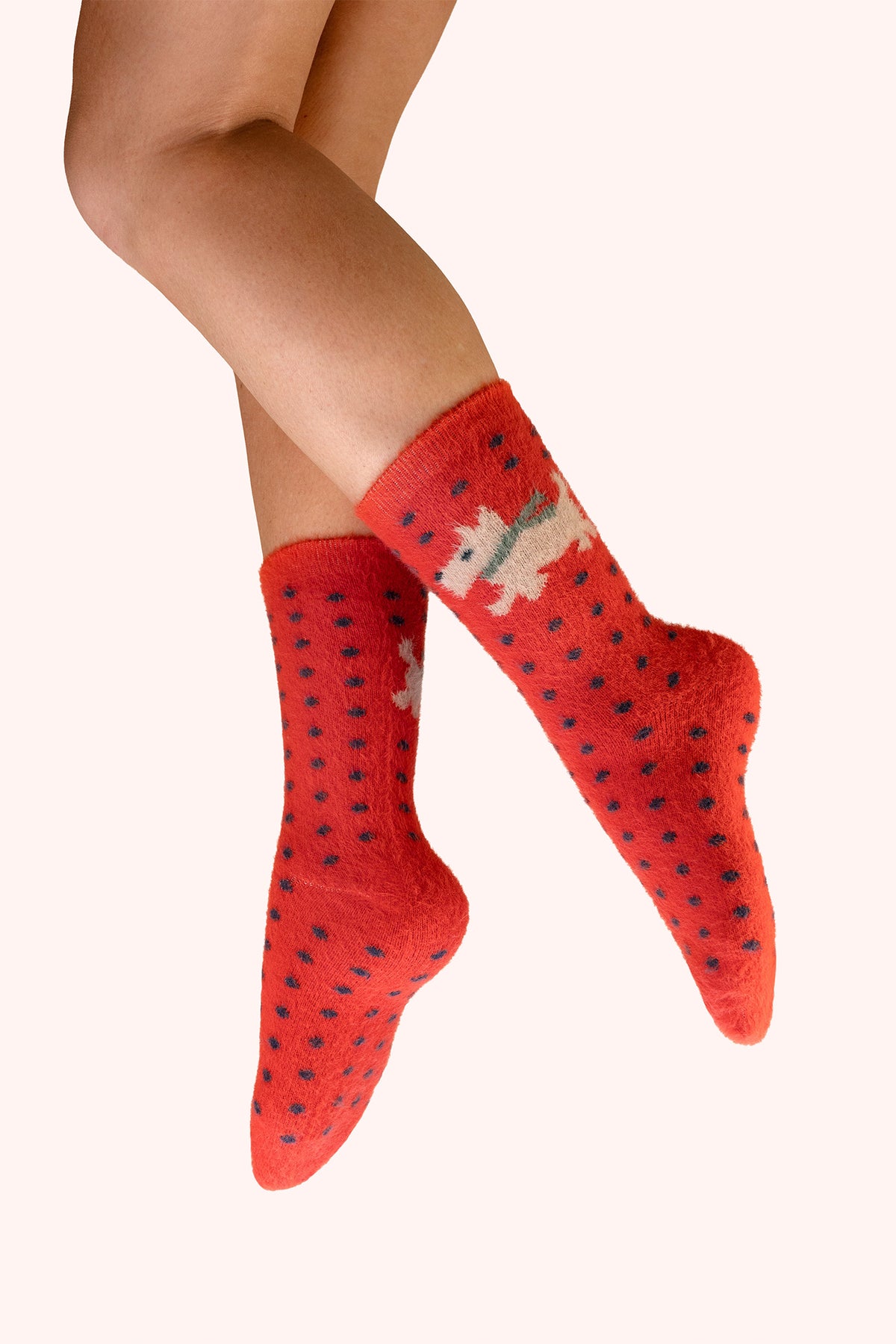 Powder Wooly Westie Red Fuzzy Socks SOC824, worn view