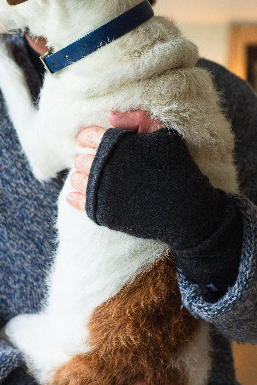 Turtle Doves Black Cashmere Fingerless Gloves, worn holding a dog