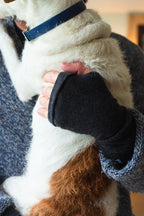 Turtle Doves Black Cashmere Fingerless Gloves, worn holding a dog