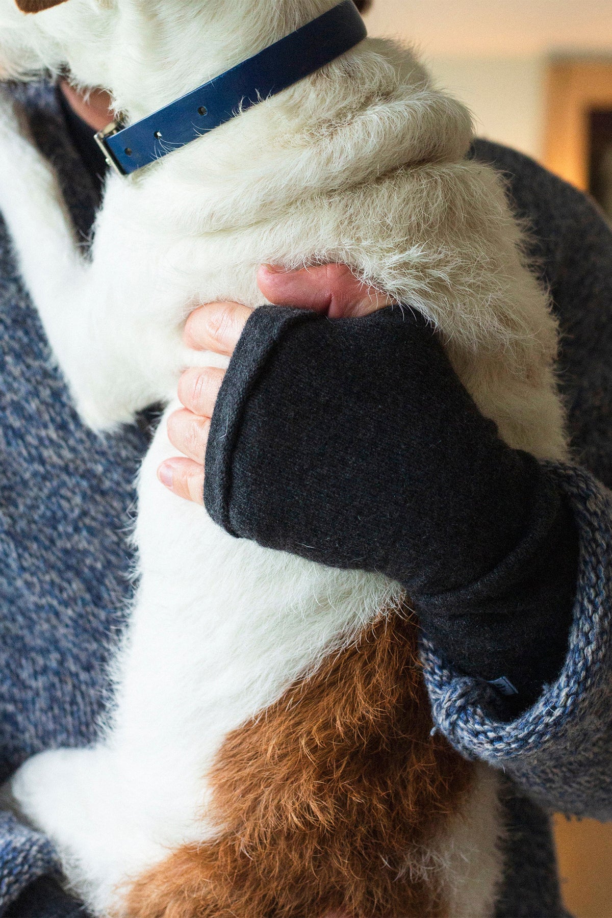 Turtle Doves Black Cashmere Fingerless Gloves, worn holding a dog