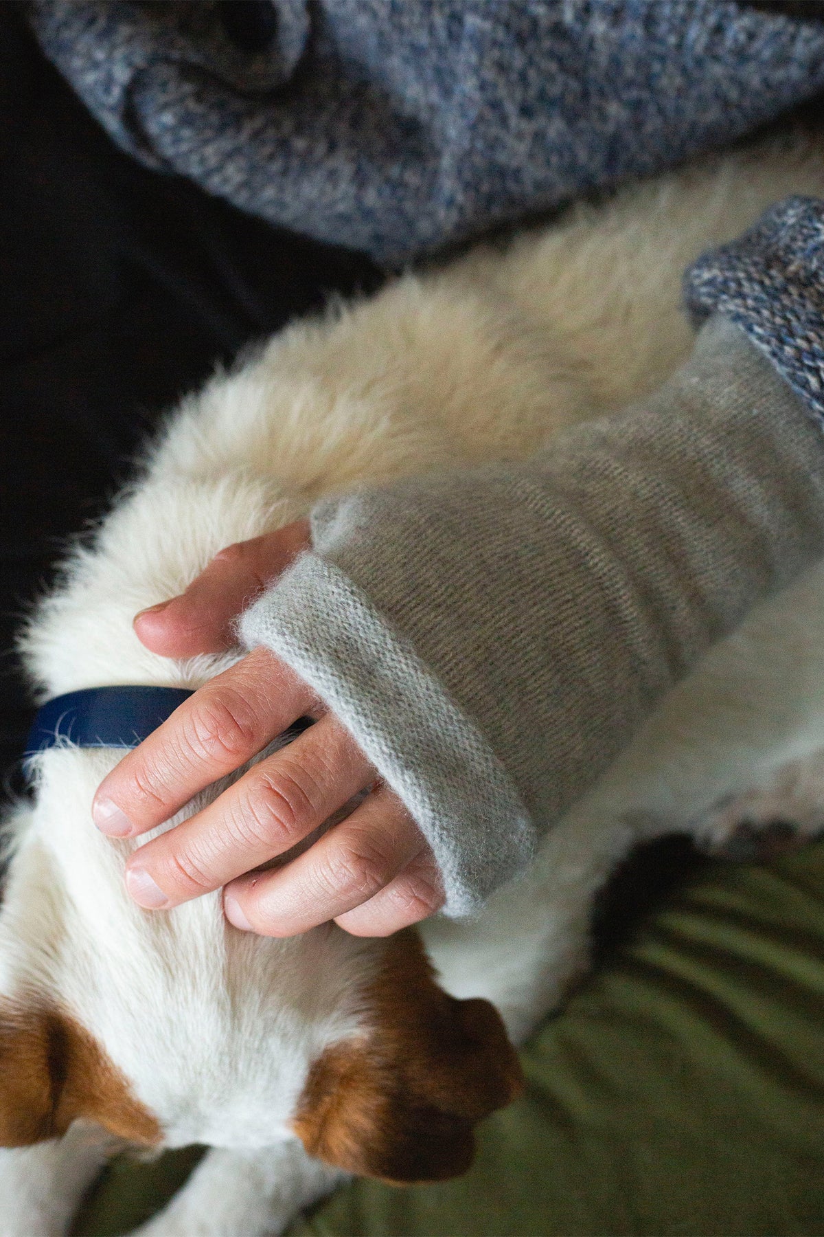 Turtle Doves Grey Cashmere Fingerless Gloves, worn on hand with dog