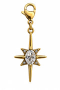 Wild Spirit Guiding Star Gold Hook Charm, front view